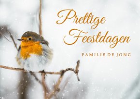 Kerstkaart met winterse foto van roodborstje