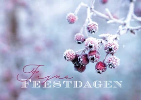 Kerstkaart natuurfoto Fijne feestdagen