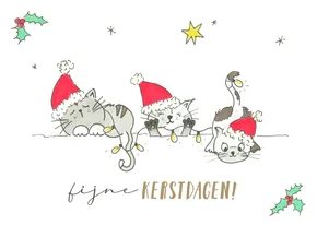Kerstkaart - Vrolijke katten met kerstelementen