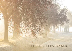 Kerstkaart winters landschap met bomen