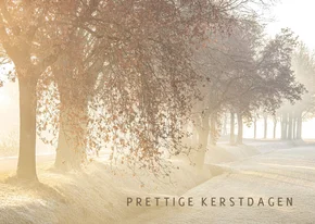 Kerstkaart winters landschap met bomen