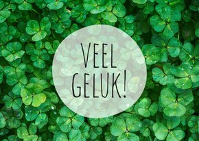 Klavertjes veel geluk!