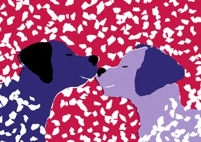 KNGF bedankkaart met twee hondjes in de sneeuw