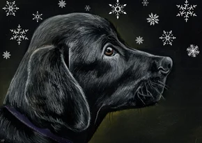 KNGF Geleidehond kerstkaart sneeuw