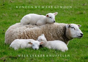 Lentekaart Knuffelkaart Moederschaap met 3 lammetjes