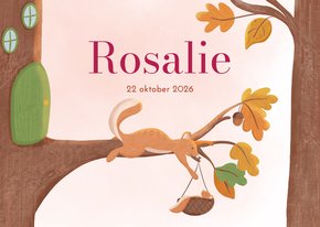  Lief geboortekaartje meisje eekhoorn met baby in herfst