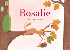  Lief geboortekaartje meisje eekhoorn met baby in herfst