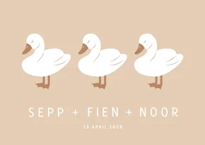 Lief geboortekaartje met drie zwaantjes drieling