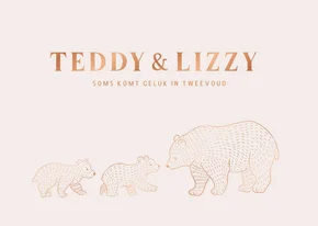Lief geboortekaartje met illustratie van beertjes tweeling