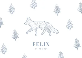 Lief wit geboortekaartje met illustratie van vosje jongen