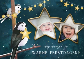 Lieve kerstkaart met 2 vogels met lampjes en eigen foto's