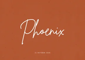 Minimalistisch neutraal geboortekaartje roest en naam