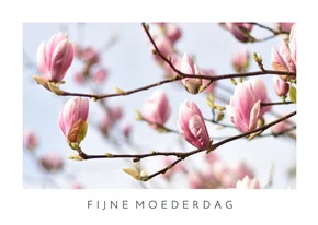 Moderne moederdag kaart met foto van bloeiende magnolia