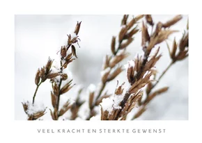 Moderne winterse condoleance kaart met natuurfoto 