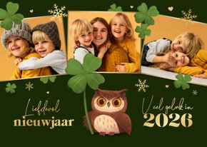 Nieuwjaarskaart geluk klavertjes vier sneeuw uiltje foto's