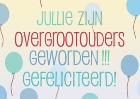 Overgrootouders geworden -blauw