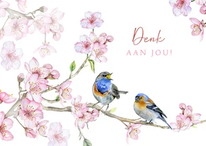 Sterktekaart vogeltjes voorjaar