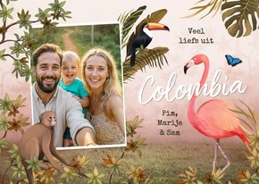 Vakantiekaart tropische dieren Zuid Amerika Colombia foto