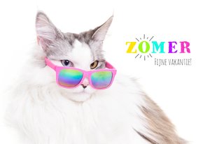 Vakantiekaart - Zomer vakantie - Kat met zonnebril