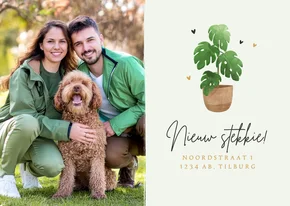 Verhuiskaart nieuw stekkie plantje hartjes foto verhuisdoos