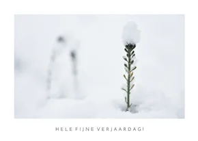 Verjaardags ansichtkaart met natuurfoto in de winter
