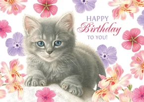 Verjaardagskaart met kitten Gijsje tussen de bloemen