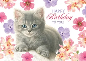 Verjaardagskaart met kitten Gijsje tussen de bloemen