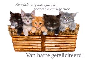 Verjaardagskaart met lieve poesjes