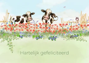 Verjaardagskaart met rode klaprozen en koeien