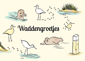 Waddengroet zeehonden en vogels