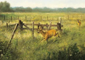 Wenskaart twee herten