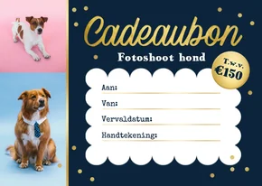Zakelijke cadeaubon fotoshoot huisdier hond confetti goud 