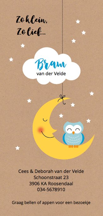 Blauw uiltje op maan met wolk en sterretjes Achterkant