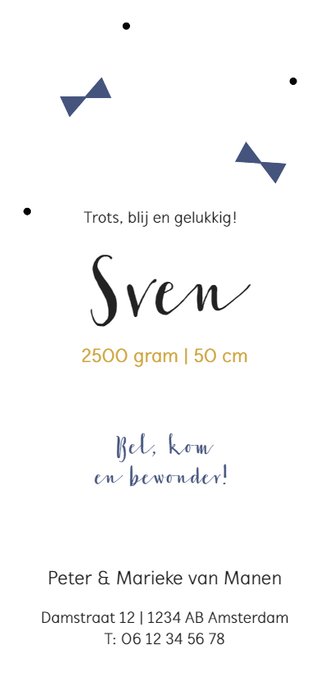 Blauwe strikjes en stipjes Achterkant