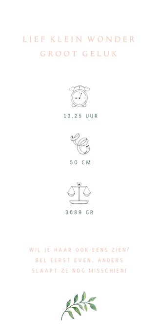 Botanisch geboortekaartje met olifantje in aquarel 2