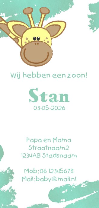 Geboorte hip langwerpig kaartje met een lief girafje Achterkant