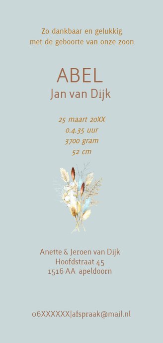 Geboorte jongen droogbloemetjes Achterkant