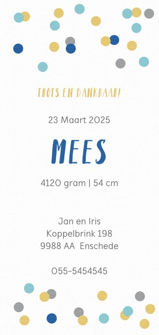 Geboorte jongen Mees Achterkant
