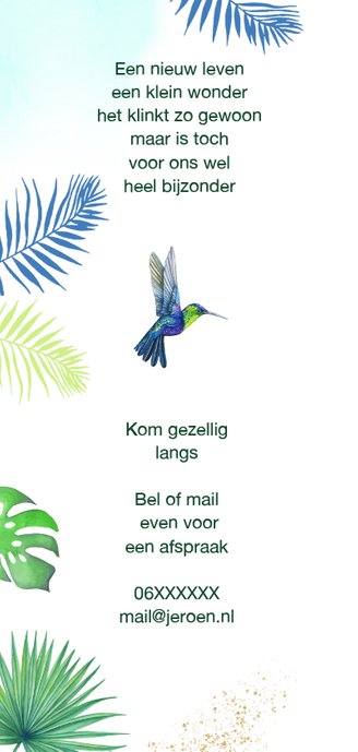 Geboorte kolibrie tropisch 2