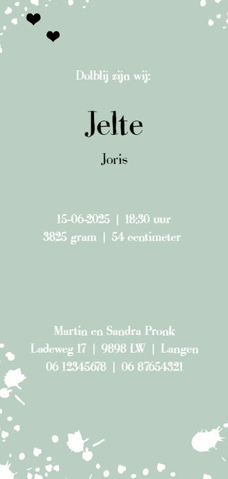 Geboorte Lang Jelte Achterkant