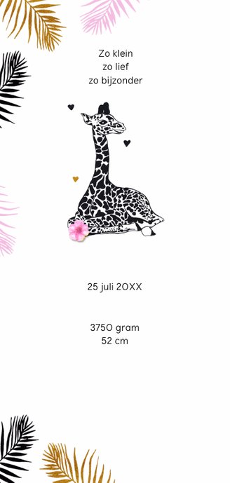 Geboorte meisje giraffe moeder 2