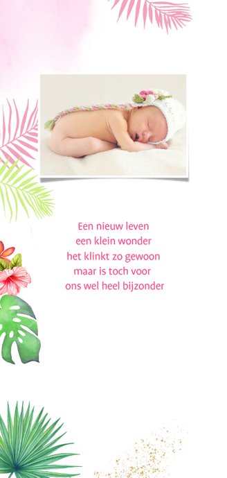 Geboorte meisje toekan tropisch 2