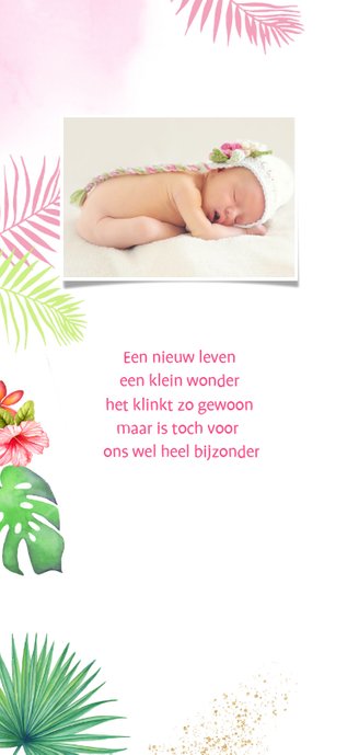 Geboorte meisje toekan tropisch 2