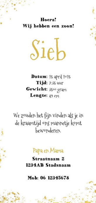 Geboorte origineel kaartje met goudkleurig lief girafje Achterkant
