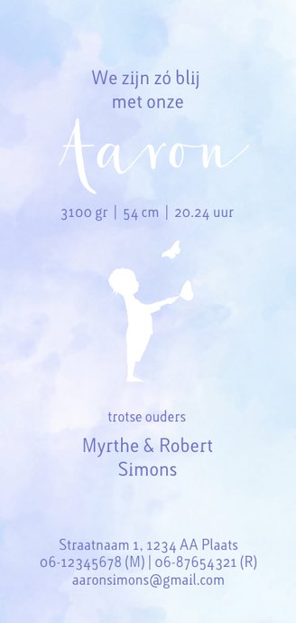 geboorte silhouet jongen met vlinder Achterkant