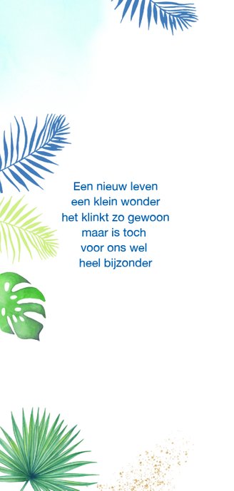 Geboorte toekanvogels botanisch 2
