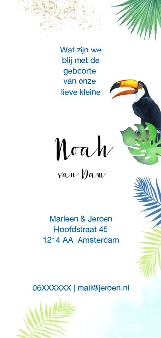 Geboorte toekanvogels botanisch 3