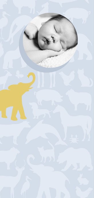 Geboortekaart Animal sky tikje retro grijs blauw 2