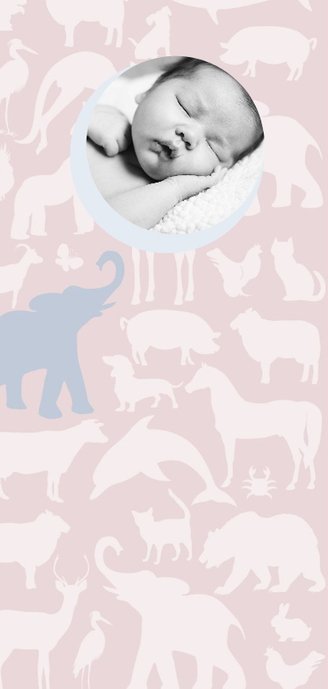 Geboortekaart Animal Sky tikje retro hippe kleuren 2