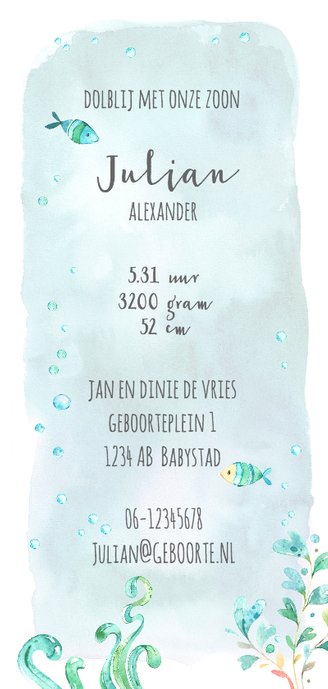 Geboortekaart jongen met schildpad en vissen Achterkant